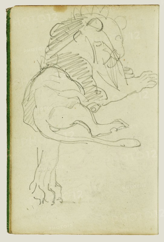 Seated Lion; Théodore Géricault, French, 1791 - 1824, 1812 - 1814; Graphite; 15.2 x 10.6 cm, 6 x 4 3,16 in