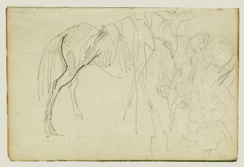 Compositional Study, Horse Studies; Théodore Géricault, French, 1791 - 1824, 1812 - 1814; Graphite; 15.2 x 10.6 cm