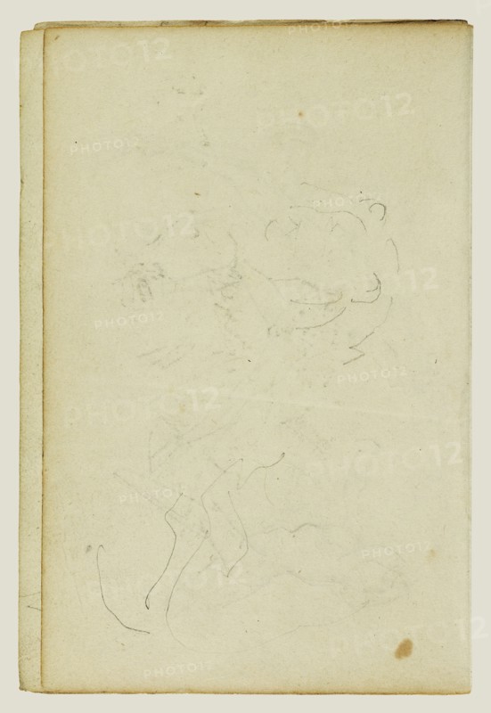 Sketches of Head and Hind Legs of a Lion; Théodore Géricault, French, 1791 - 1824, 1812 - 1814; Graphite; 15.2 x 10.6 cm