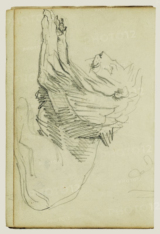 Seated Lion; Théodore Géricault, French, 1791 - 1824, 1812 - 1814; Graphite; 15.2 x 10.6 cm, 6 x 4 3,16 in