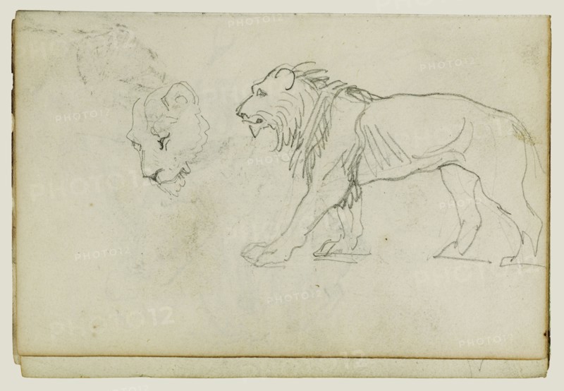 Lion Walking, Head of a Lioness; Théodore Géricault, French, 1791 - 1824, 1812 - 1814; Graphite; 15.2 x 10.6 cm, 6 x 4 3,16 in