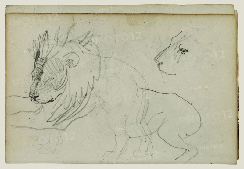 Lion Studies; Théodore Géricault, French, 1791 - 1824, 1812 - 1814; Graphite; 15.2 x 10.6 cm, 6 x 4 3,16 in