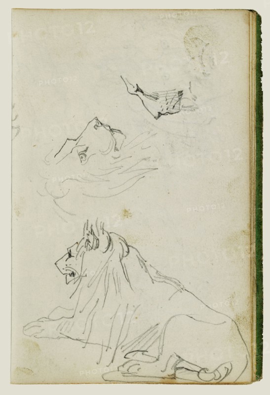 Seated Lion, Two Lion Head Studies; Théodore Géricault, French, 1791 - 1824, 1812 - 1814; Graphite; 15.2 x 10.6 cm