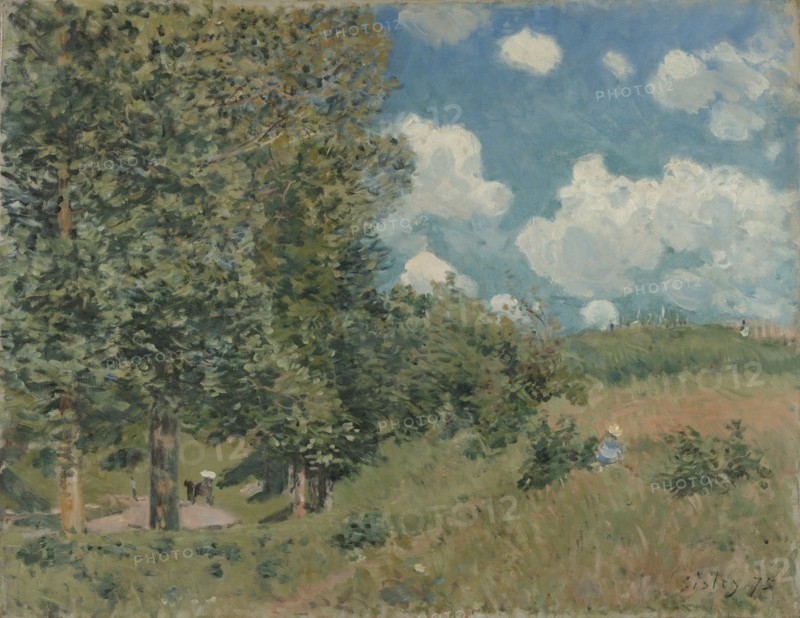 The Road from Versailles to Saint-Germain; Alfred Sisley, English, 1839 - 1899, 1875; Oil on canvas; 51.1 × 65.1 cm