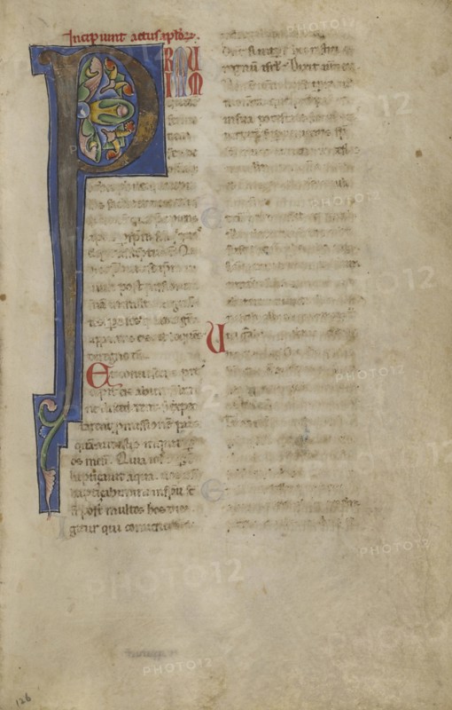 Decorated Initial P; Sicily, probably, Italy; late 12th century; Tempera colors, gold leaf, and ink on parchment