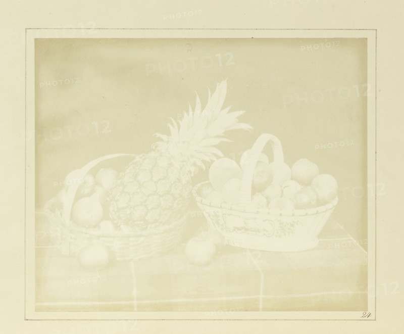 A Fruit Piece; William Henry Fox Talbot, English, 1800 - 1877, Reading, England; 1844; Salted paper print; 16.3 × 19.8 cm