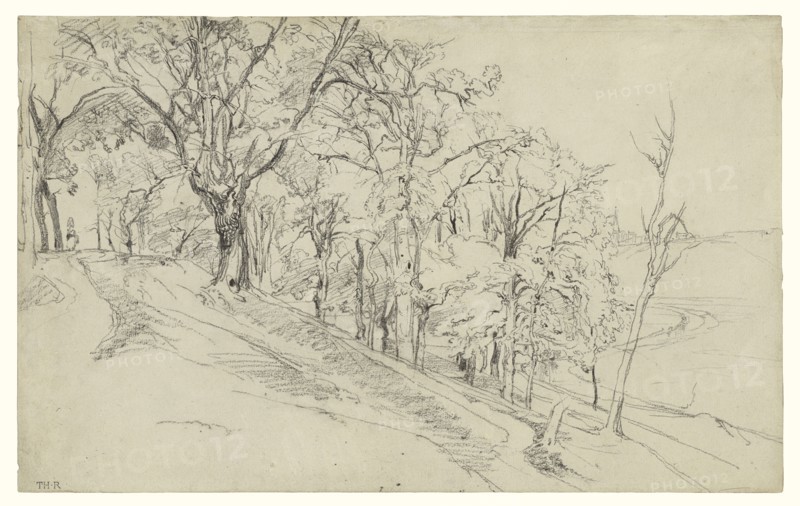 Forest in Boisrémond, recto, Cottage in a Forest, verso, Théodore Rousseau, French, 1812 - 1867, 1842; Black chalk on laid