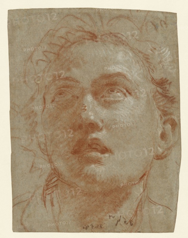 Head of a Man Looking Up; Giovanni Battista Tiepolo, Italian, 1696 - 1770, about 1750 - 1760; Red and white chalk on blue laid