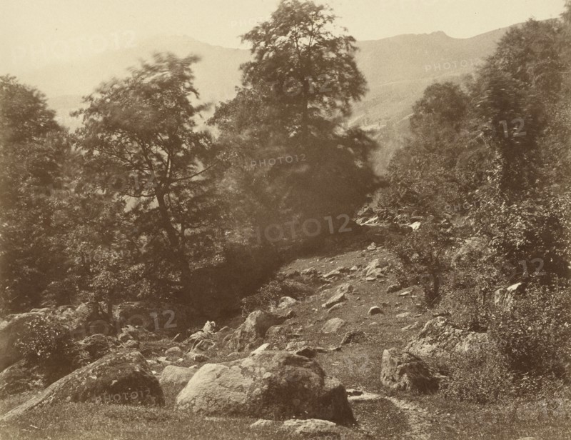 La Vallée du Lys, Coup de Vent, Aimé Civiale, Italian, 1821 - 1893, France; 1857 - 1858; Albumen silver print