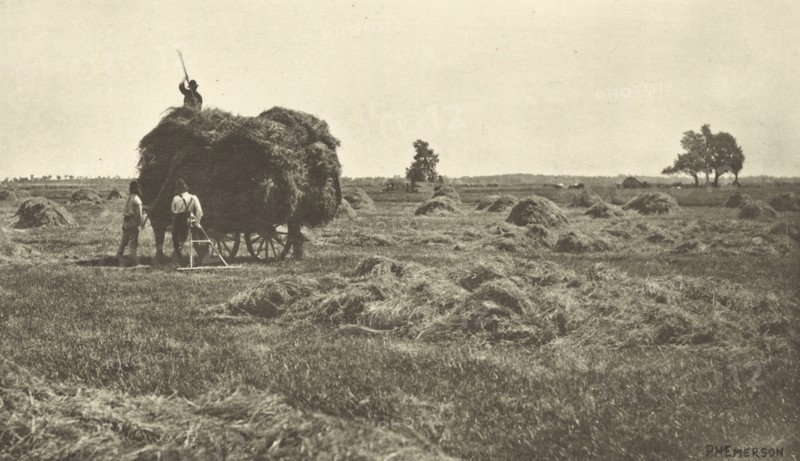 The Haysel; Peter Henry Emerson, British, born Cuba, 1856 - 1936, London, England; 1887; Photogravure; 14.1 x 25.1 cm