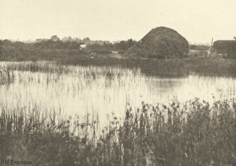 Autumn Floods; Peter Henry Emerson, British, born Cuba, 1856 - 1936, London, England; 1887; Photogravure; 13.8 x 19.8 cm