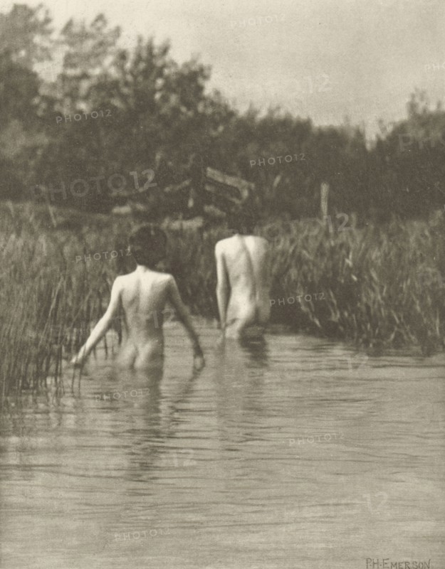Water-Babies; Peter Henry Emerson, British, born Cuba, 1856 - 1936, London, England; 1887; Photogravure; 15.9 x 12.2 cm