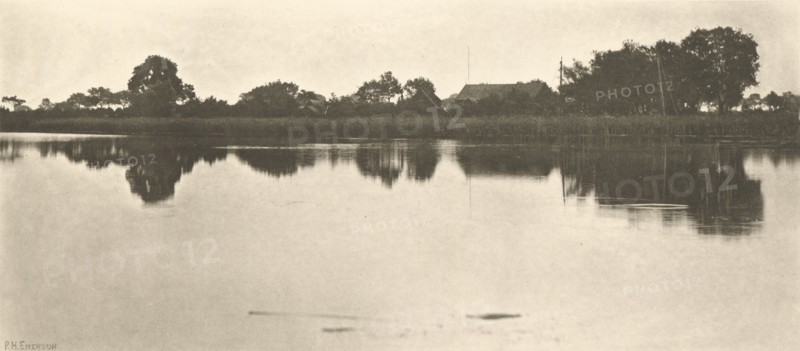 The Reedy Marge; Peter Henry Emerson, British, born Cuba, 1856 - 1936, London, England; 1887; Photogravure; 11.9 x 27.5 cm