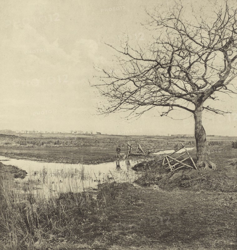 Leafless March. Suffolk; Peter Henry Emerson, British, born Cuba, 1856 - 1936, London, England; 1888; Photogravure; 24.4 x 23.5