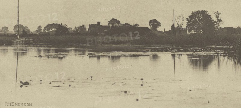 The Fringe of the Mere; Peter Henry Emerson, British, born Cuba, 1856 - 1936, London, England; 1888; Photogravure; 10.2 x 22.1