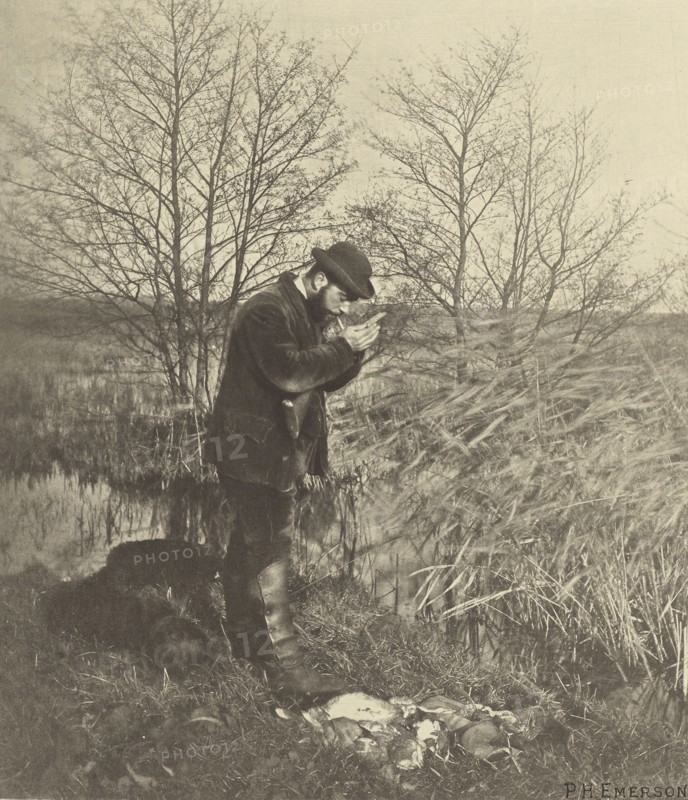 At the Covert Corner. Norfolk; Peter Henry Emerson, British, born Cuba, 1856 - 1936, London, England; 1888; Photogravure