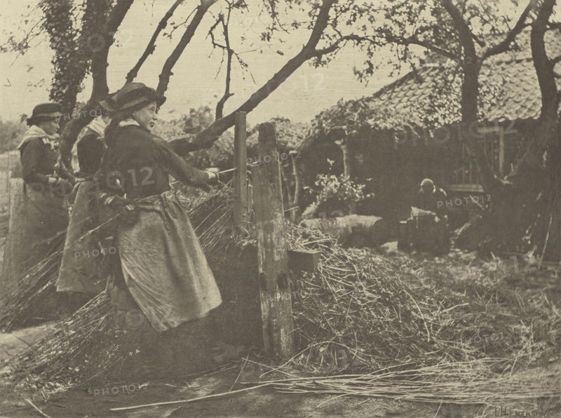 Osier=Peeling. Norfolk; Peter Henry Emerson, British, born Cuba, 1856 - 1936, London, England; 1888; Photogravure; 21.3 x 28.3
