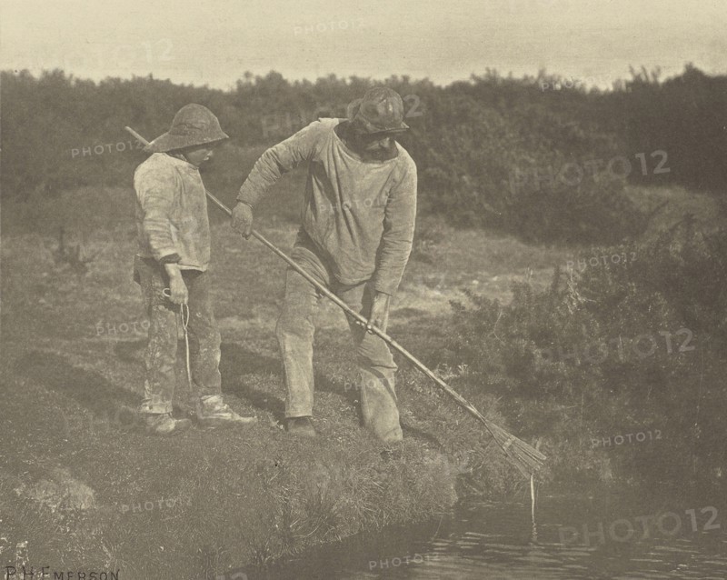 Eel=Picking in Suffolk Waters; Peter Henry Emerson, British, born Cuba, 1856 - 1936, London, England; 1888; Photogravure