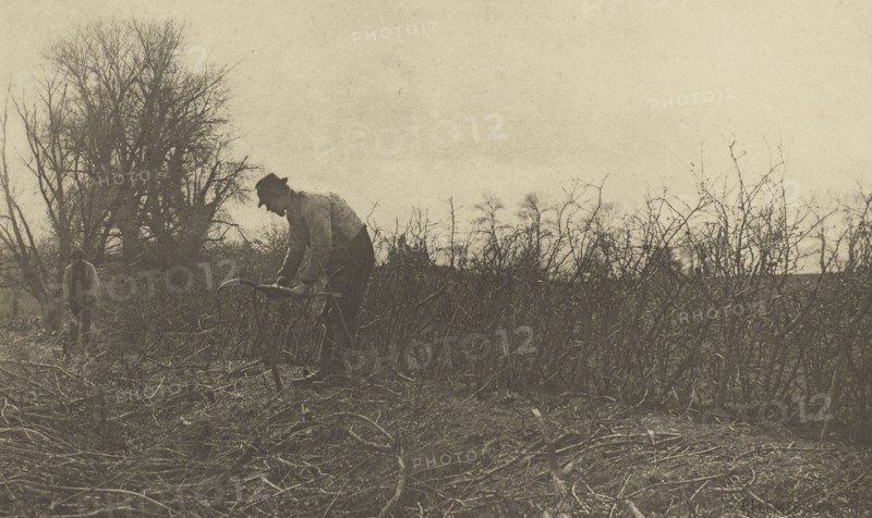 Fencing in Suffolk; Peter Henry Emerson, British, born Cuba, 1856 - 1936, London, England; 1888; Photogravure; 16 x 26.7 cm