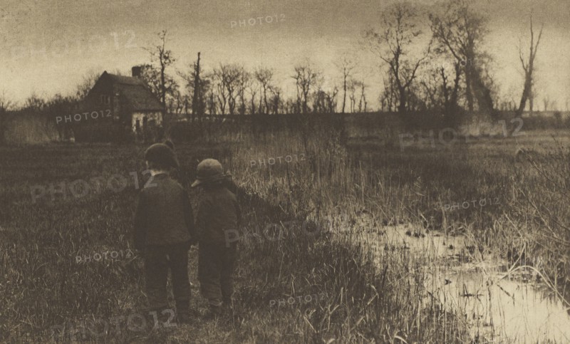 A Toad in the Path: Early Spring in Norfolk; Peter Henry Emerson, British, born Cuba, 1856 - 1936, London, England; 1888