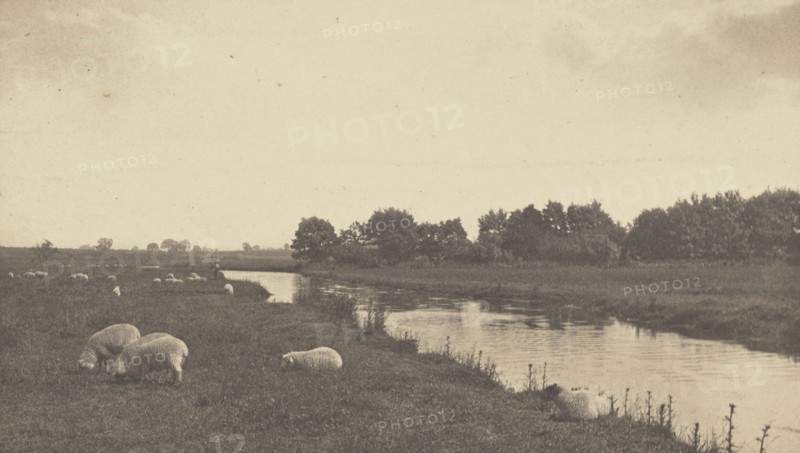 On the River Bure; Peter Henry Emerson, British, born Cuba, 1856 - 1936, London, England; 1886; Platinum print; 13.5 x 23.5 cm