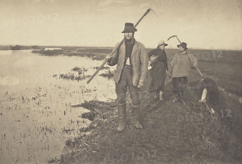 Coming Home from the Marshes; Peter Henry Emerson, British, born Cuba, 1856 - 1936, London, England; 1886; Platinum print