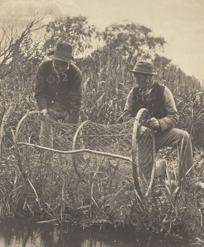 Setting Up the Bow-Net; Peter Henry Emerson, British, born Cuba, 1856 - 1936, London, England; 1886; Platinum print; 26.7 x 22.