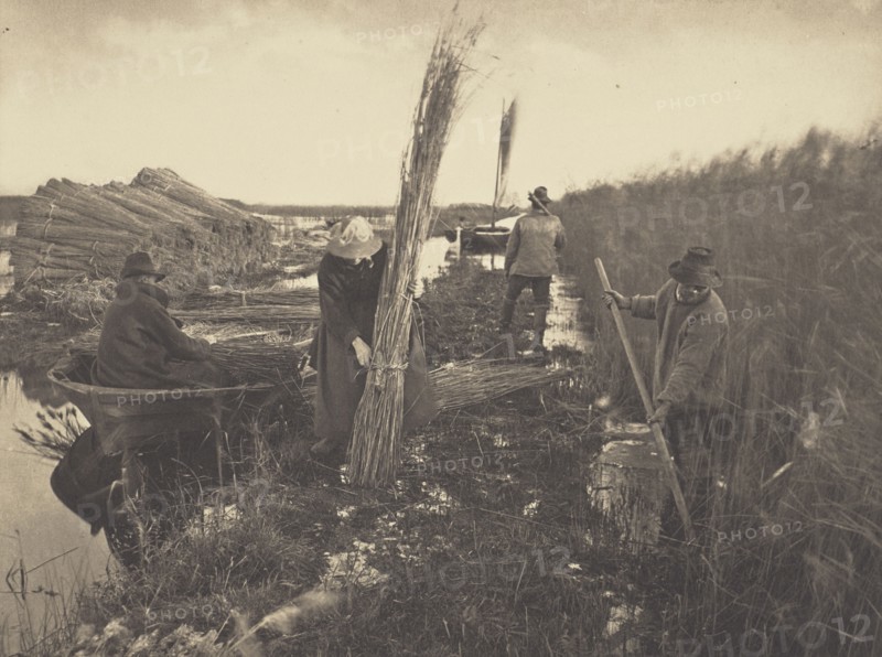 During the Reed-Harvest; Peter Henry Emerson, British, born Cuba, 1856 - 1936, London, England; 1886; Platinum print; 21.4 x 28