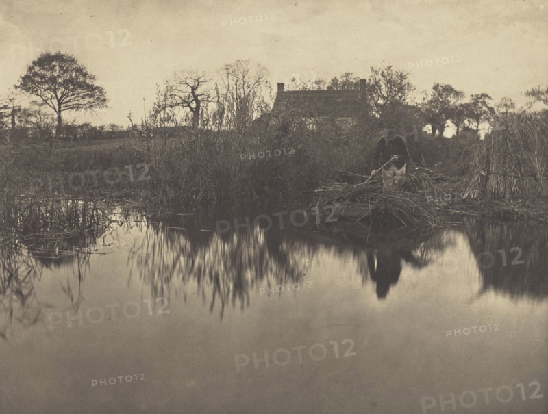 Quanting the Gladdon; Peter Henry Emerson, British, born Cuba, 1856 - 1936, London, England; 1886; Platinum print; 22.1 x 29.2