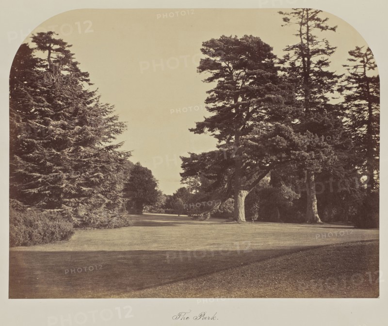 The Park; Great Britain; about 1865; Albumen silver print