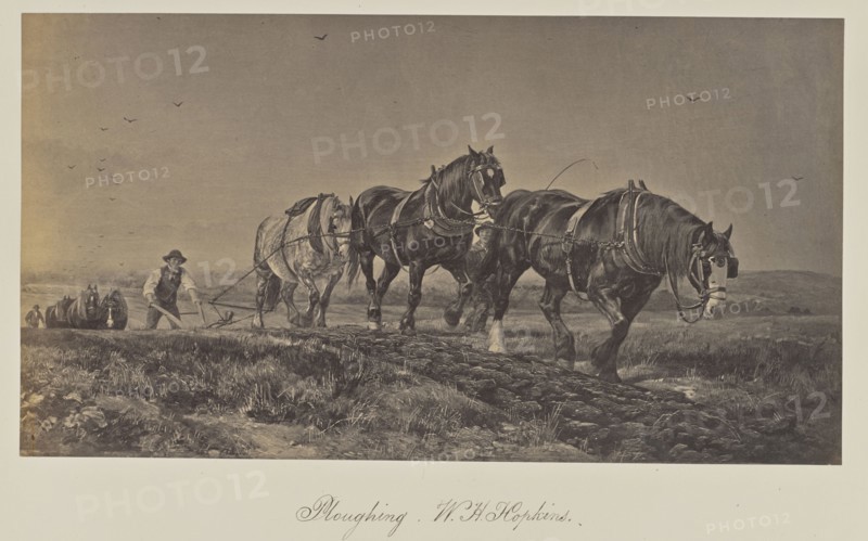 Ploughing. W. H. Hopkins; Attributed to Victor A. Prout, English, 1835 - 1877, about 1860; Albumen silver print