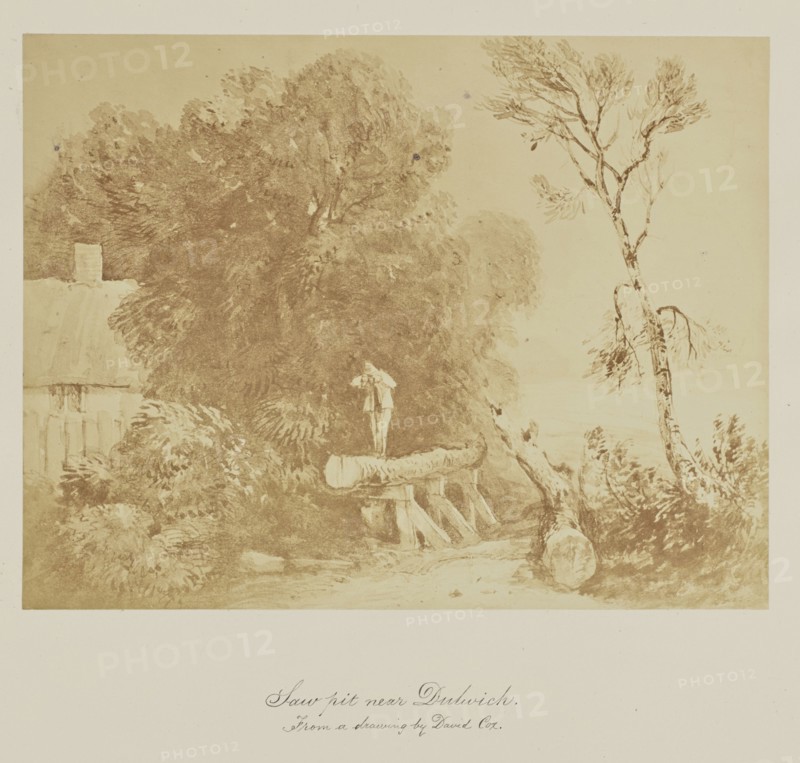 Saw pit near Dubwick. From a drawing by David Cox; about 1865; Albumen silver print
