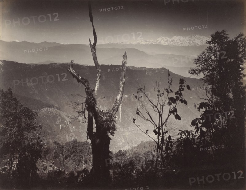 View from Senehal; Samuel Bourne, English, 1834 - 1912, India; about 1867; Albumen silver print