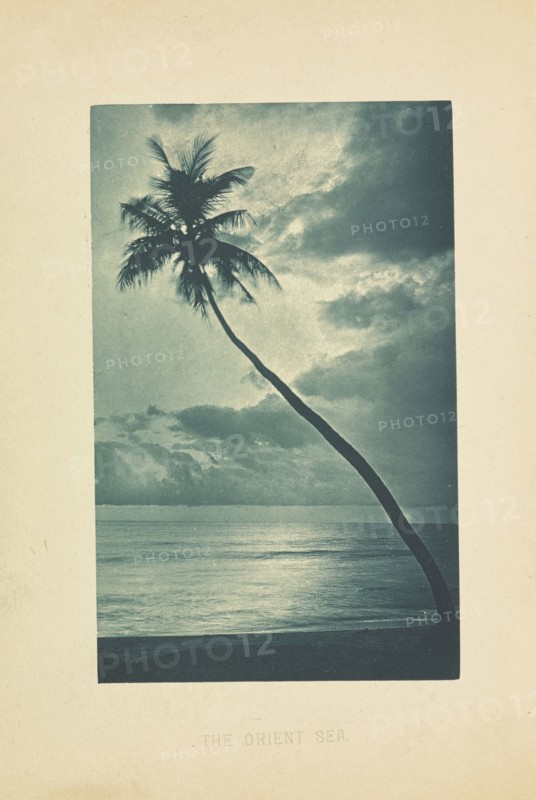 The Orient Sea; Henry W. Cave, English, 1854 - 1913, Sri Lanka; about 1890; Photogravure; 9 × 5.7 cm, 3 9,16 × 2 1,4 in
