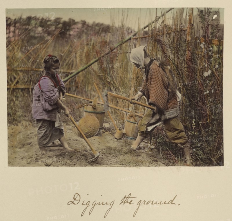 Digging the ground; Shinichi Suzuki, Japanese, 1835 - 1919, Japan; about 1873 - 1883; Hand-colored Albumen silver print