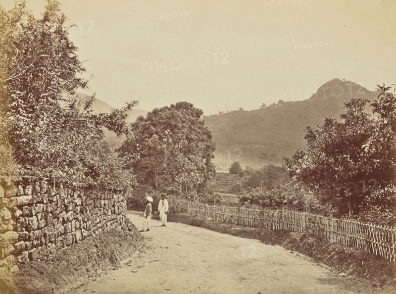 print; Colonel William Willoughby Hooper, British, 1837 - 1912, India; about 1870; Albumen silver print