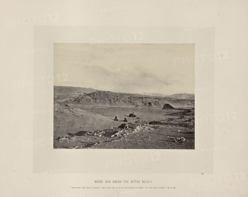 Marah, Ain Amara - The Bitter Wells, Francis Frith, English, 1822 - 1898, Sinai Peninsula, Egypt; about 1865; Albumen silver