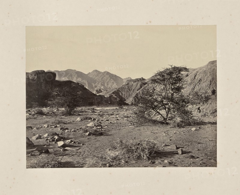 The Wilderness of Sin, Wady Shellal, Francis Frith, English, 1822 - 1898, Sinai Peninsula, Egypt; about 1865; Albumen silver