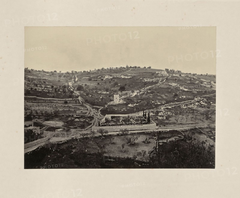 The Garden of Gethsemane and Mount of Olives; Francis Frith, English, 1822 - 1898, Jerusalem, Israel; about 1865; Albumen