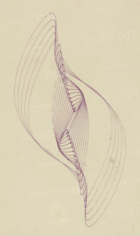 Pendulum Curve; Frederick H. Evans, British, 1853 - 1943, London, England; 1899 - 1910; Ink; 8.8 x 5.3 cm 3 7,16 x 2 1,16 in