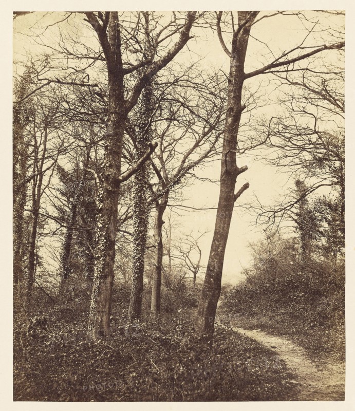 Winter; Charles Conway, Jr., British, active 1850, London, England; 1855; Salted paper print; 20.3 x 17.2 cm 8 x 6 3,4 in