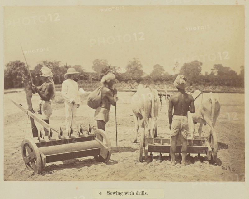 Sowing with drills; Oscar Mallitte, British, about 1829 - 1905, active Allahabad, India 1870s, Allahabad, India; 1877; Albumen