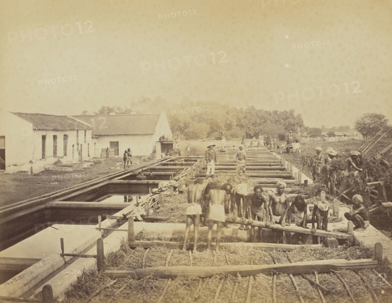 Indigo factory, Loading the Vats, Oscar Mallitte, British, about 1829 - 1905, active Allahabad, India 1870s, Allahabad, India