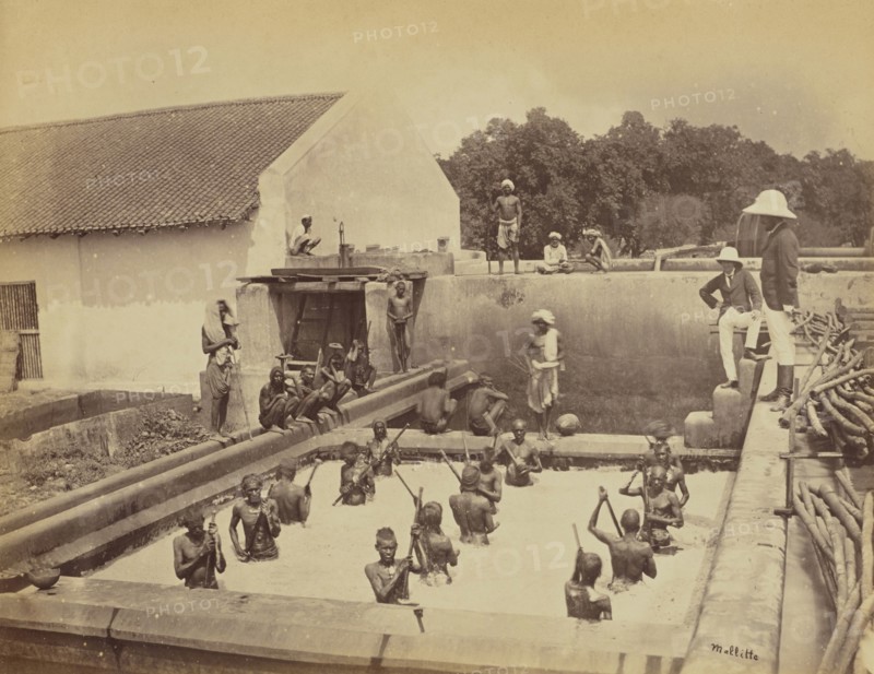 Beating a vat by hand; Oscar Mallitte, British, about 1829 - 1905, active Allahabad, India 1870s, Allahabad, India; 1877