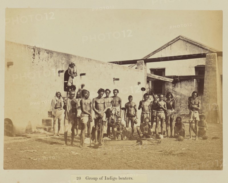 Group of Indigo beaters; Oscar Mallitte, British, about 1829 - 1905, active Allahabad, India 1870s, Allahabad, India; 1877