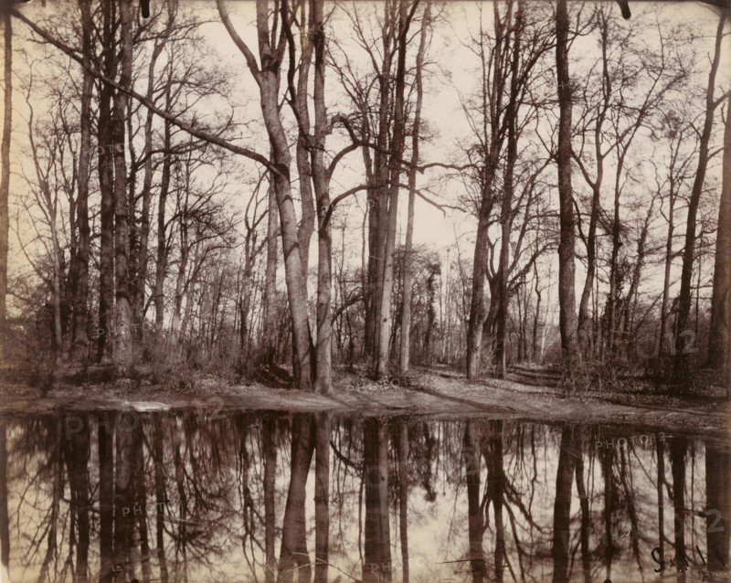 Saint-Cloud; Eugène Atget, French, 1857 - 1927, Saint-Cloud, France; 1922; Albumen silver print
