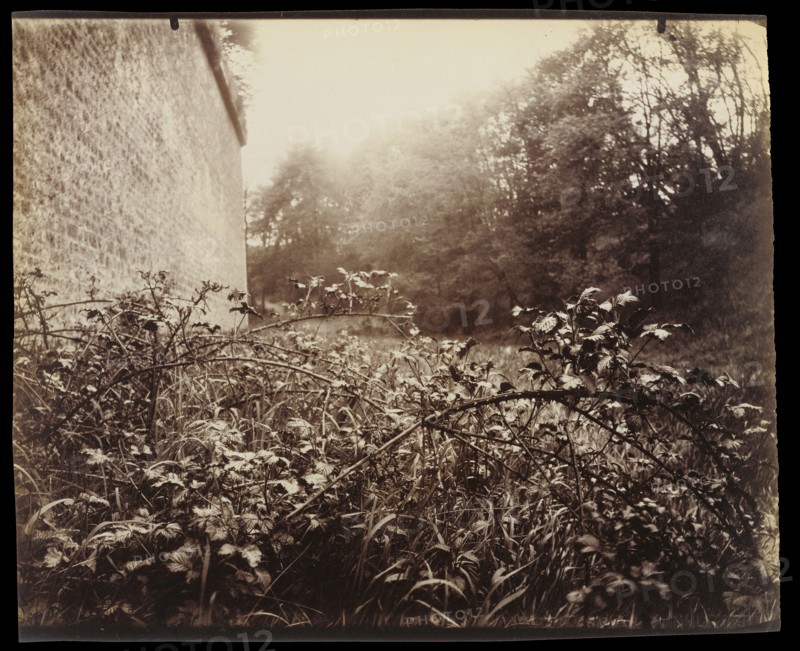 Porte Dauphine; Eugène Atget, French, 1857 - 1927, Paris, France; 1913; Albumen silver print