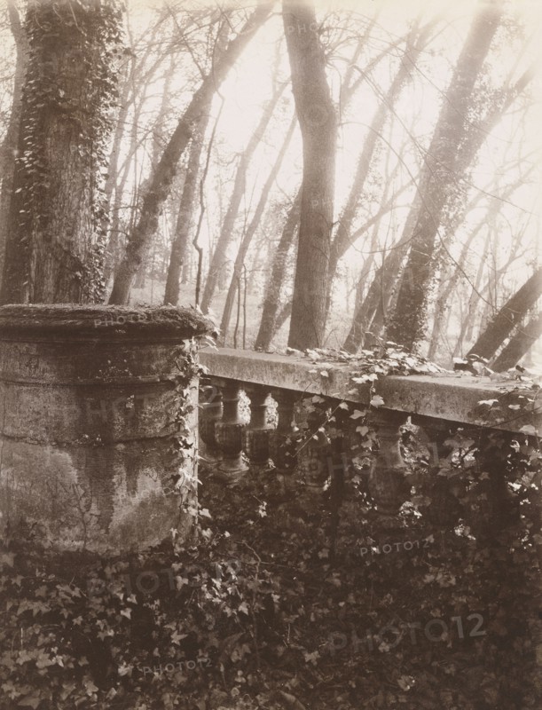 Saint-Cloud Park, Paris; Eugène Atget, French, 1857 - 1927, Saint-Cloud, France; 1924; Albumen silver print