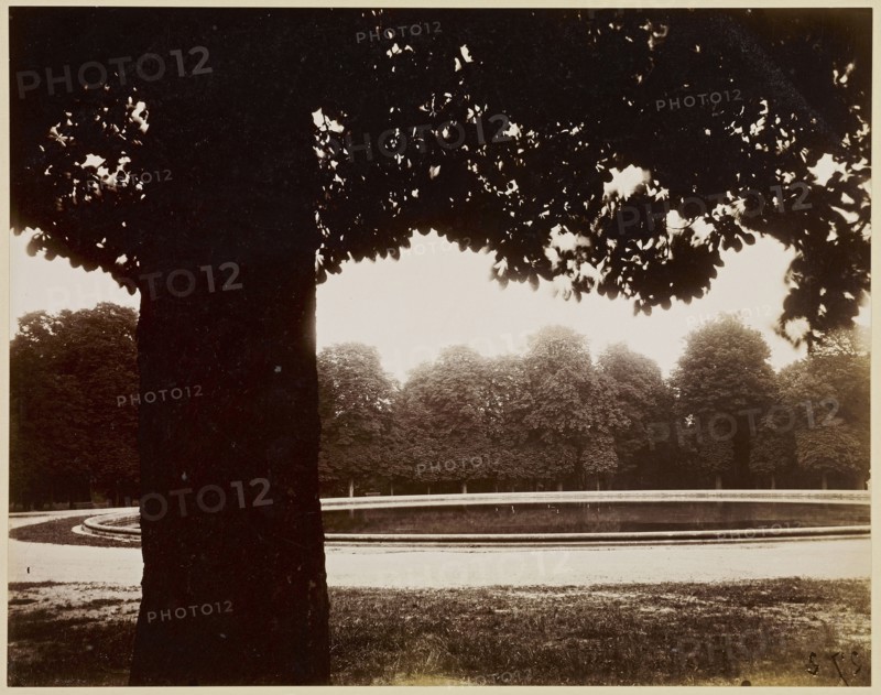 Saint-Cloud; Eugène Atget, French, 1857 - 1927, Berenice Abbott, American, 1898 - 1991, Saint-Cloud, France; negative 1926