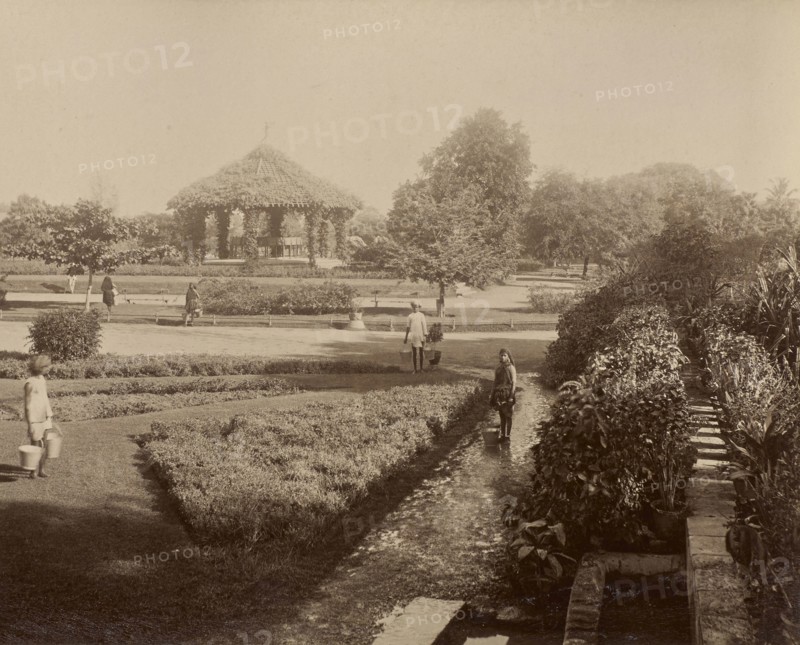 Peile Gardens; India; 1886 - 1889; Albumen silver print